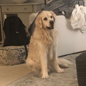 Meet your Posher, Janet